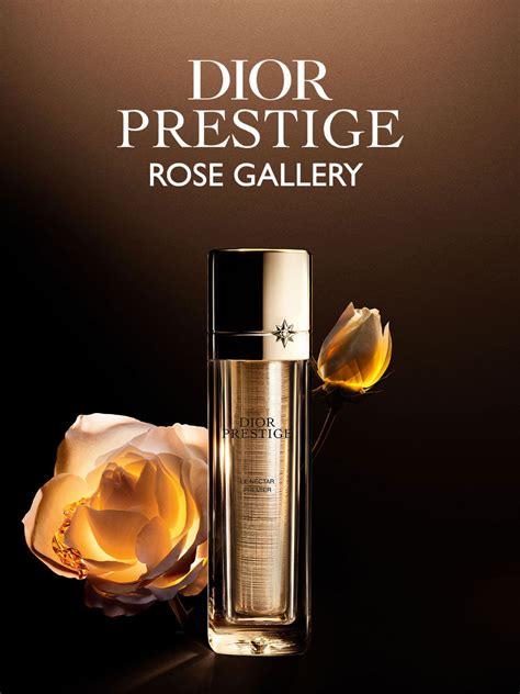 dior creme rose|Dior prestige rose gallery.